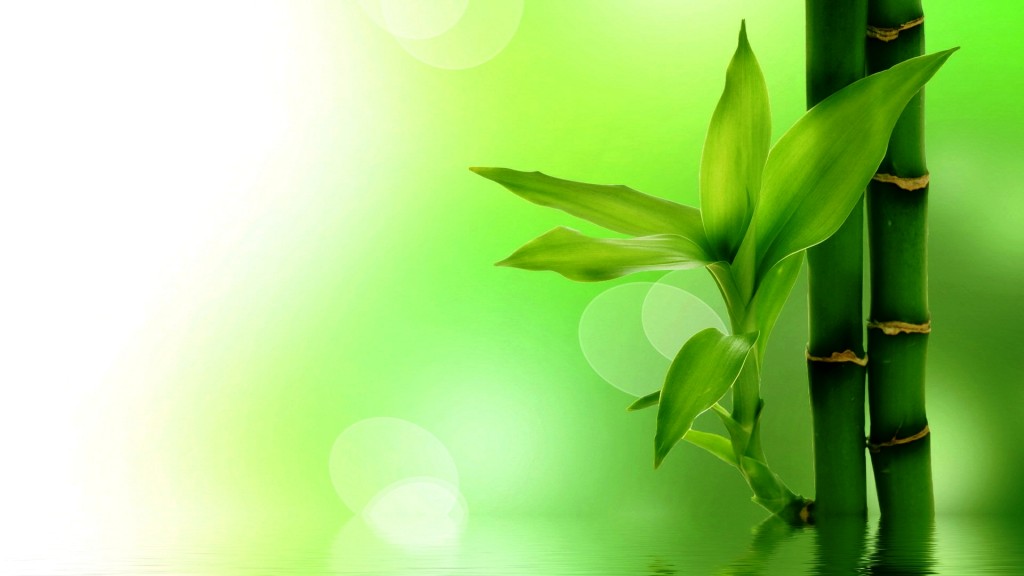 100%x200